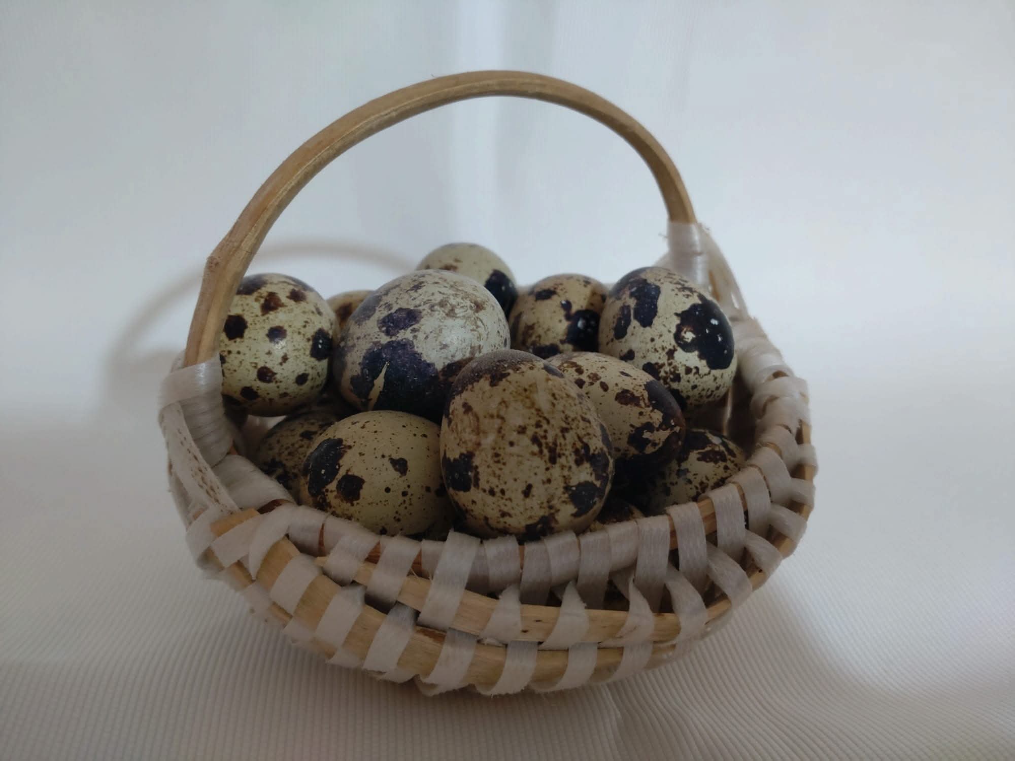 Ouă de prepeliță pentru incubat Japoneză - Image 2
